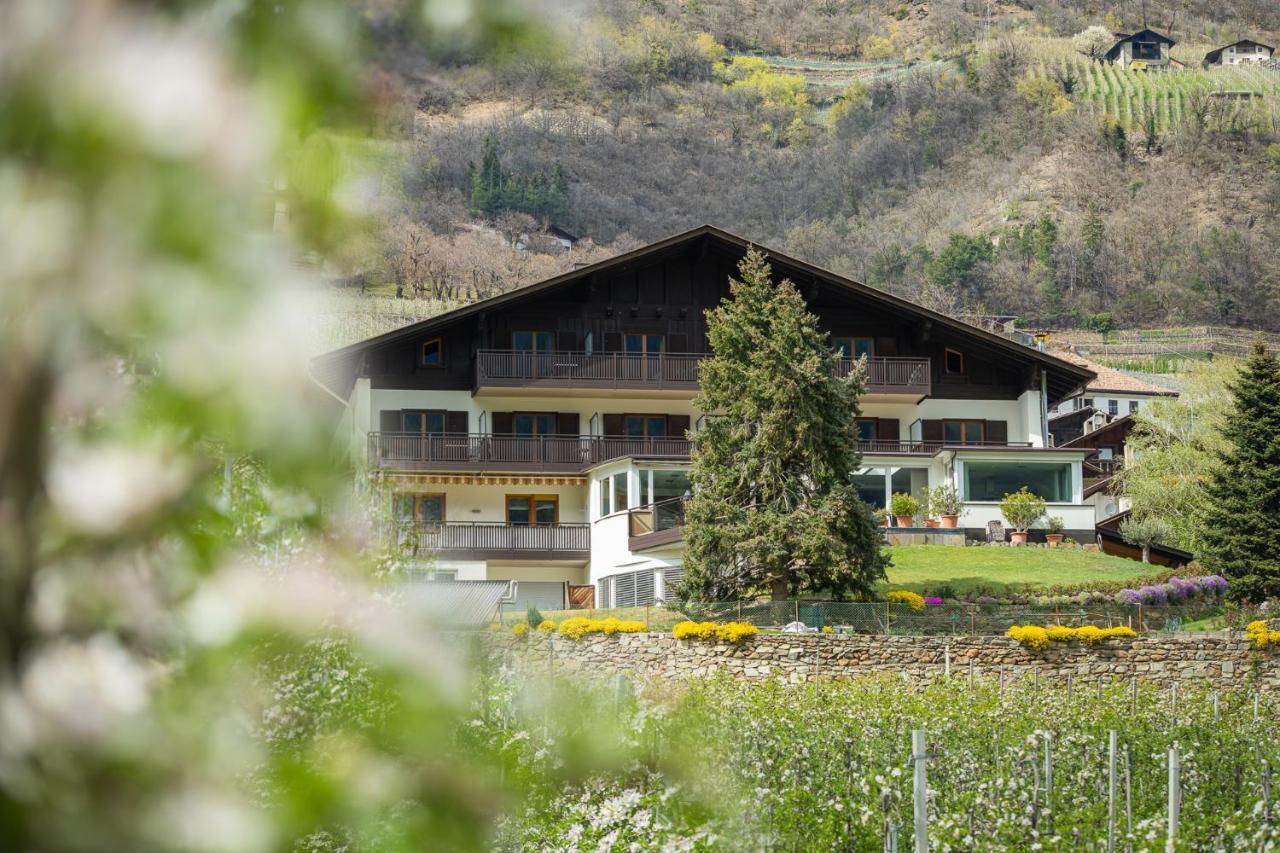 Pension Apartments Pardell カルテルベッロ エクステリア 写真
